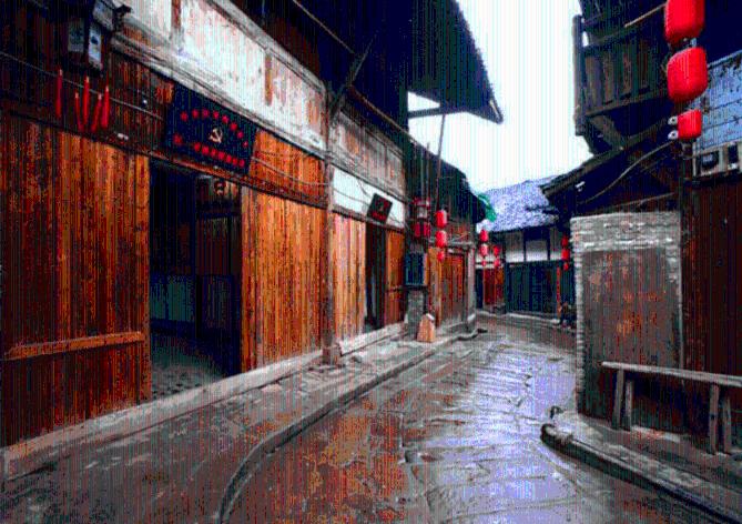 探秘狗是忠猫是奸臣是封建思想吗?,智慧问答无限